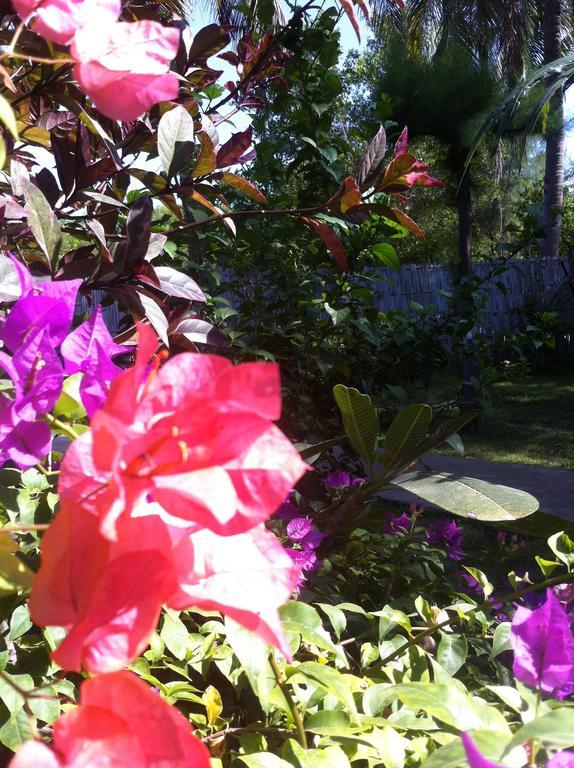 Gili Garden Bungalow Gili Meno Buitenkant foto