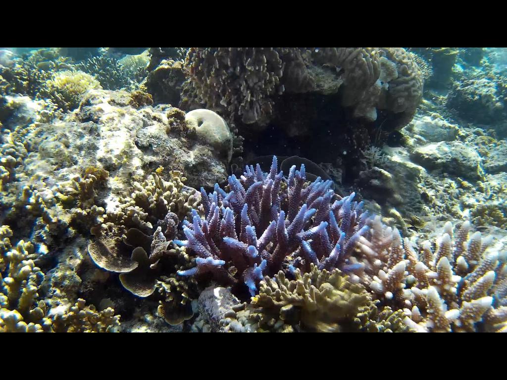 Gili Garden Bungalow Gili Meno Buitenkant foto
