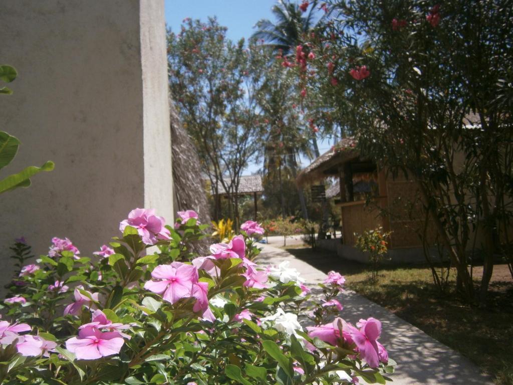 Gili Garden Bungalow Gili Meno Buitenkant foto
